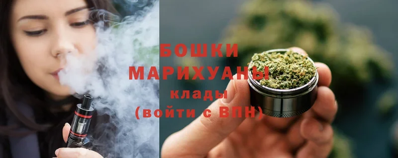 Бошки Шишки марихуана  Вытегра 